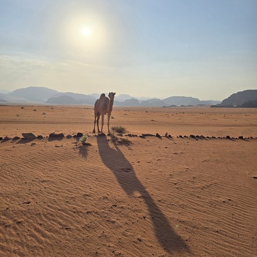 Souvenir du voyage de Christophe, Jordanie