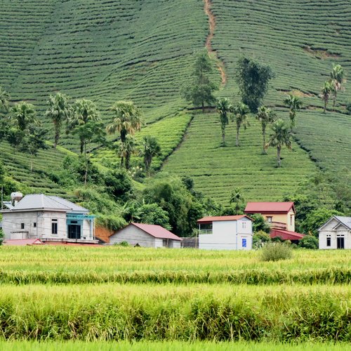 Souvenir du voyage de André, Vietnam