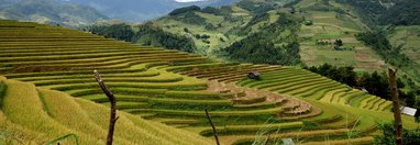 Souvenir du voyage de André, Vietnam