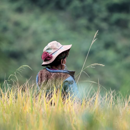 Souvenir du voyage de André, Vietnam