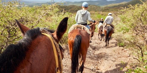 Argentine balade chevaux