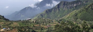 Souvenir du voyage de FABIENNE, Sri Lanka