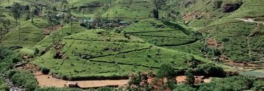 Souvenir du voyage de FABIENNE, Sri Lanka