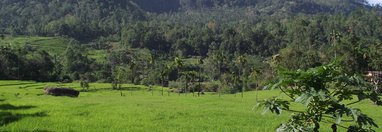 Souvenir du voyage de FABIENNE, Sri Lanka