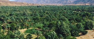 Souvenir du voyage de Anne Sandra , Maroc