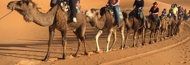 Souvenir du voyage de Aurelie, Maroc