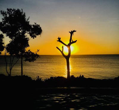 Souvenir du voyage de Christophe, Tanzanie