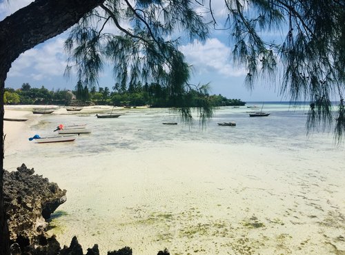 Souvenir du voyage de Christophe, Tanzanie