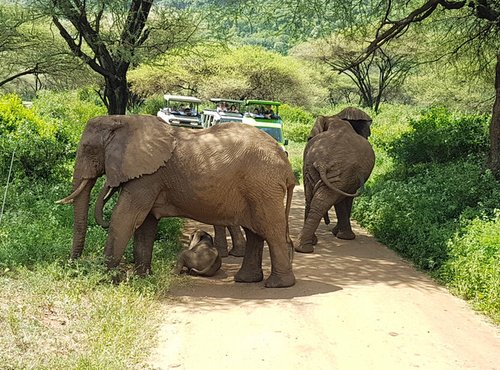 Souvenir du voyage de Bruno, Tanzanie