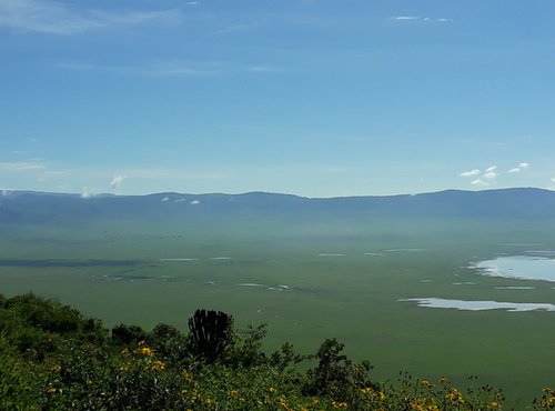 Souvenir du voyage de Bruno, Tanzanie