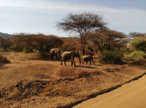 Souvenir du voyage de Alicia, Tanzanie