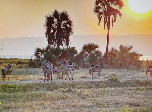 Souvenir du voyage de Maryline, Tanzanie