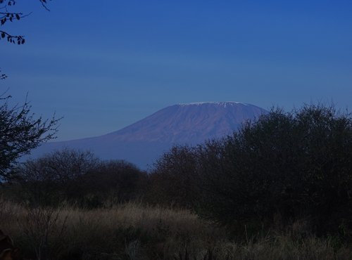 Souvenir du voyage de Alain, Kenya