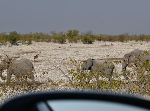 Souvenir du voyage de Yann, Namibie