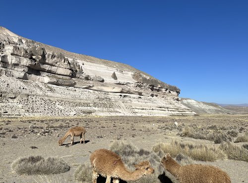 Souvenir du voyage de Erik, Pérou