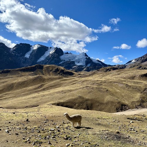 Souvenir du voyage de Erik, Pérou