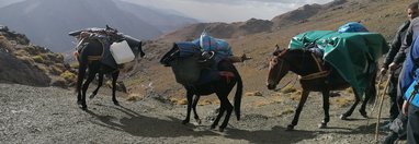 Souvenir du voyage de Fabienne, Maroc