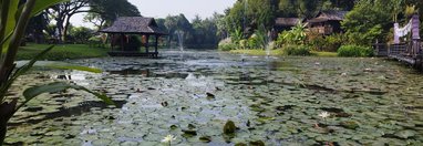 Souvenir du voyage de Yannick, Thaïlande