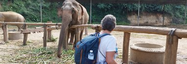 Souvenir du voyage de Yannick, Thaïlande