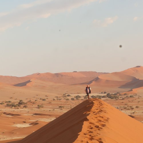 Souvenir du voyage de Laurent, Namibie