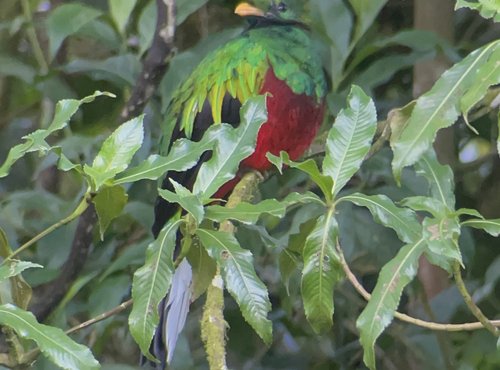 Souvenir du voyage de Maeva, Costa Rica