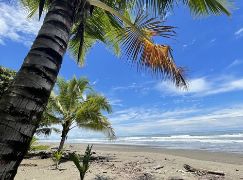 Souvenir du voyage de Maeva, Costa Rica