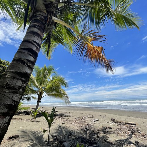 Souvenir du voyage de Maeva, Costa Rica