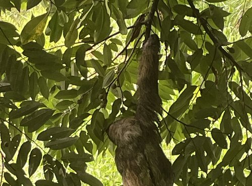 Souvenir du voyage de Maeva, Costa Rica