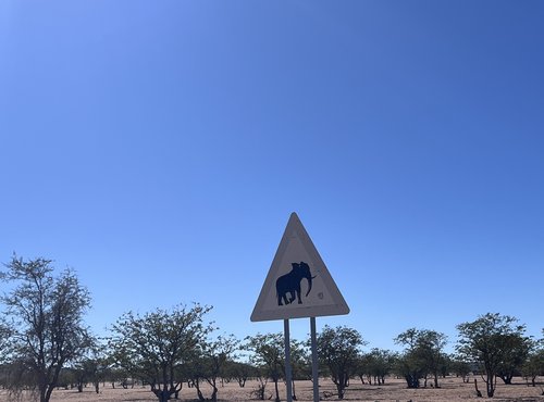 Souvenir du voyage de Marion, Namibie