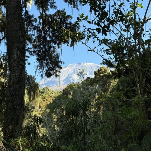 Souvenir du voyage de Juliette, Tanzanie