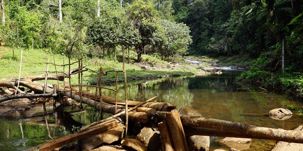 Riviere dans les Bolovens au Laos