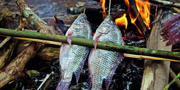 Poissons sur le feu au Laos