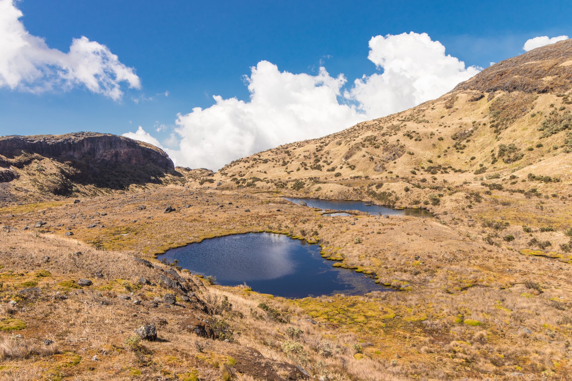 Los Nevados en Colombie