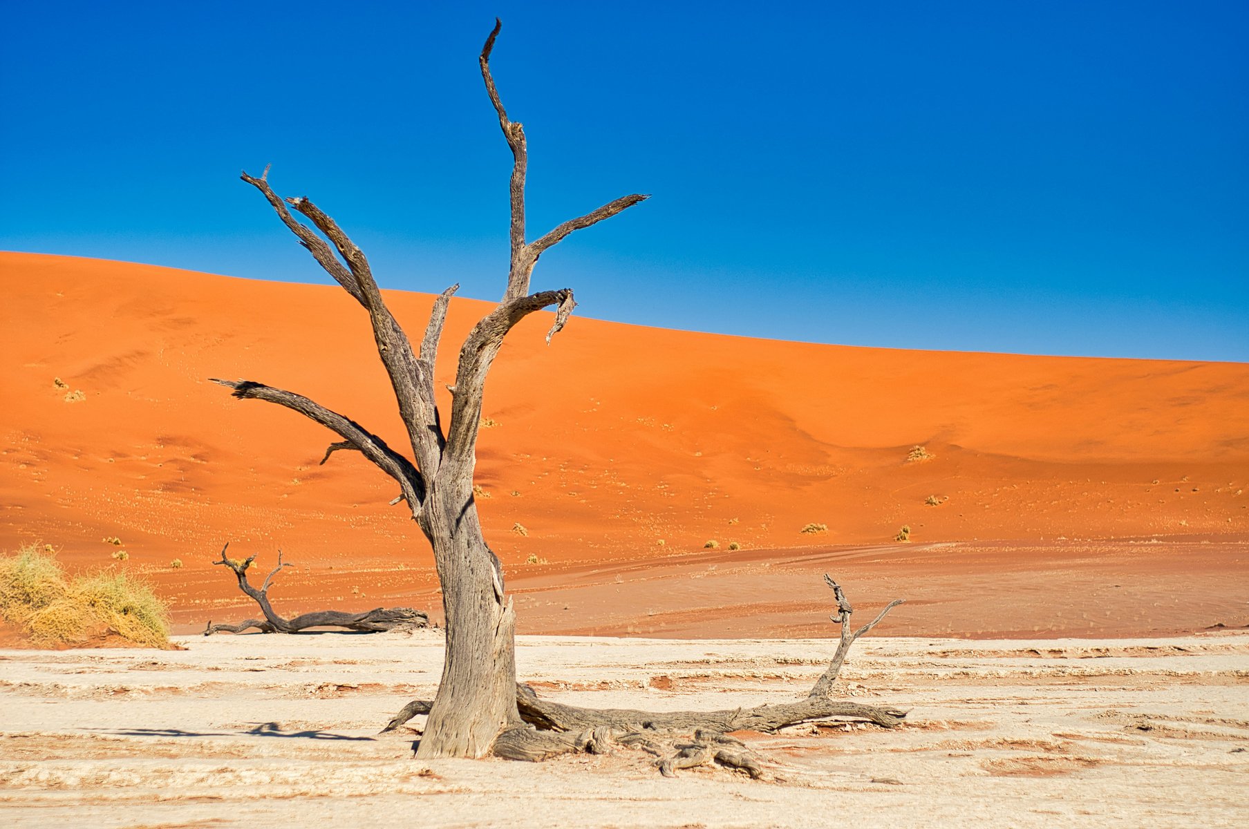 Deadvlei a Sossusvlei en Namibie