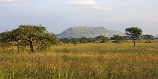 parc du Serengeti en Tanzanie