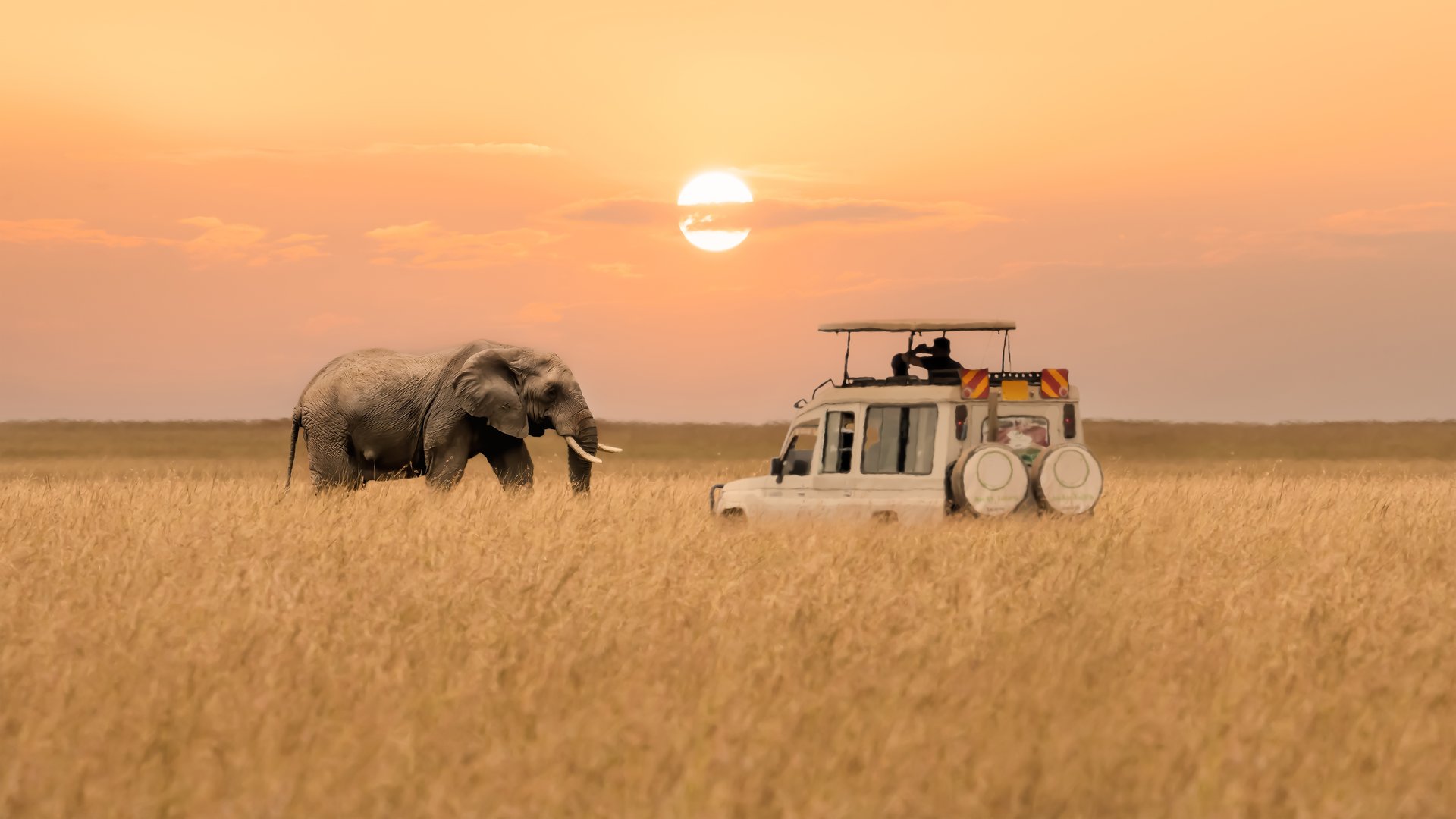 Safari en Tanzanie