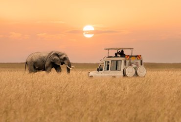 Safari en Tanzanie