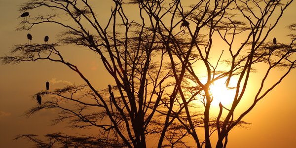 Sunset dans le serengeti en Tanzanie