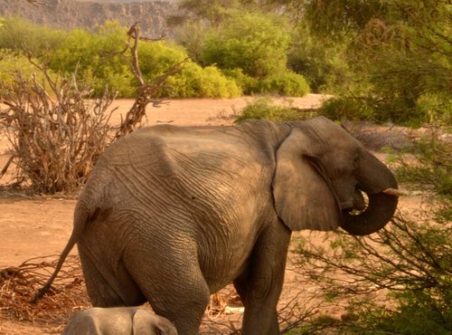 Souvenir du voyage de Johanna, Namibie