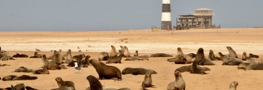 Souvenir du voyage de Johanna, Namibie