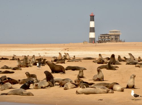 Souvenir du voyage de Johanna, Namibie