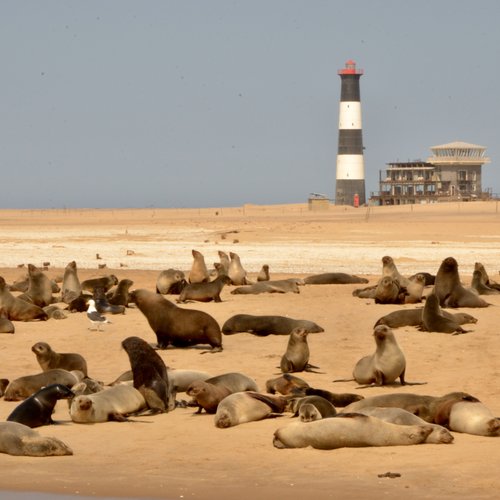 Souvenir du voyage de Johanna, Namibie