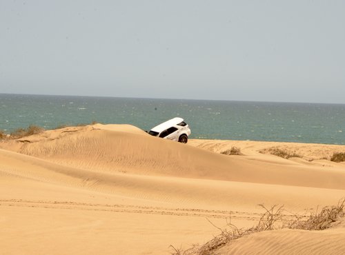 Souvenir du voyage de Johanna, Namibie