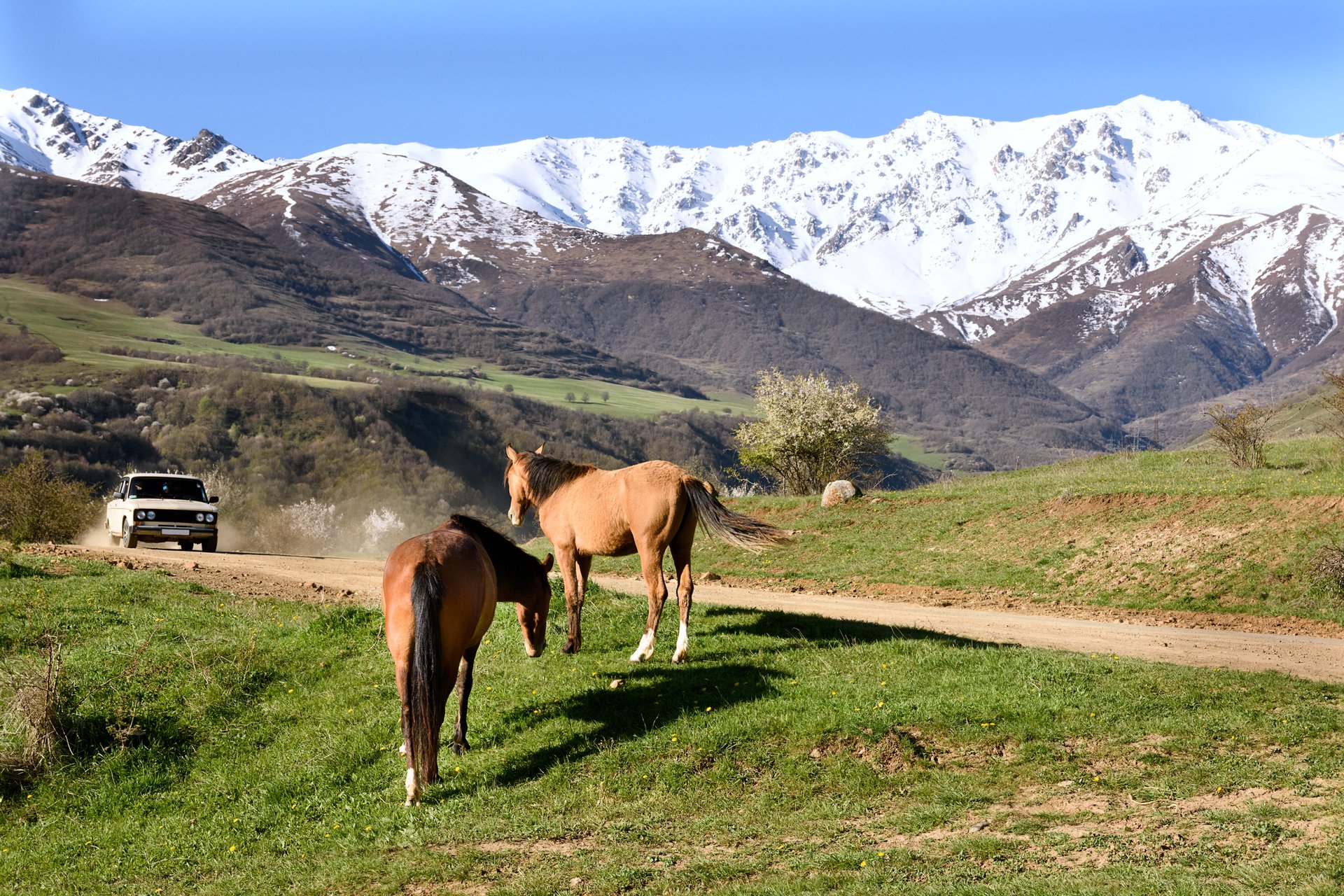 Balade à cheval en Arménie