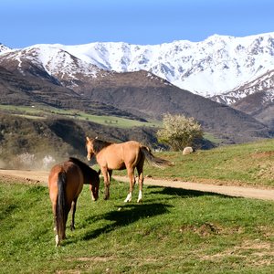 Balade à cheval en Arménie