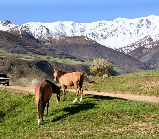 Balade à cheval en Arménie