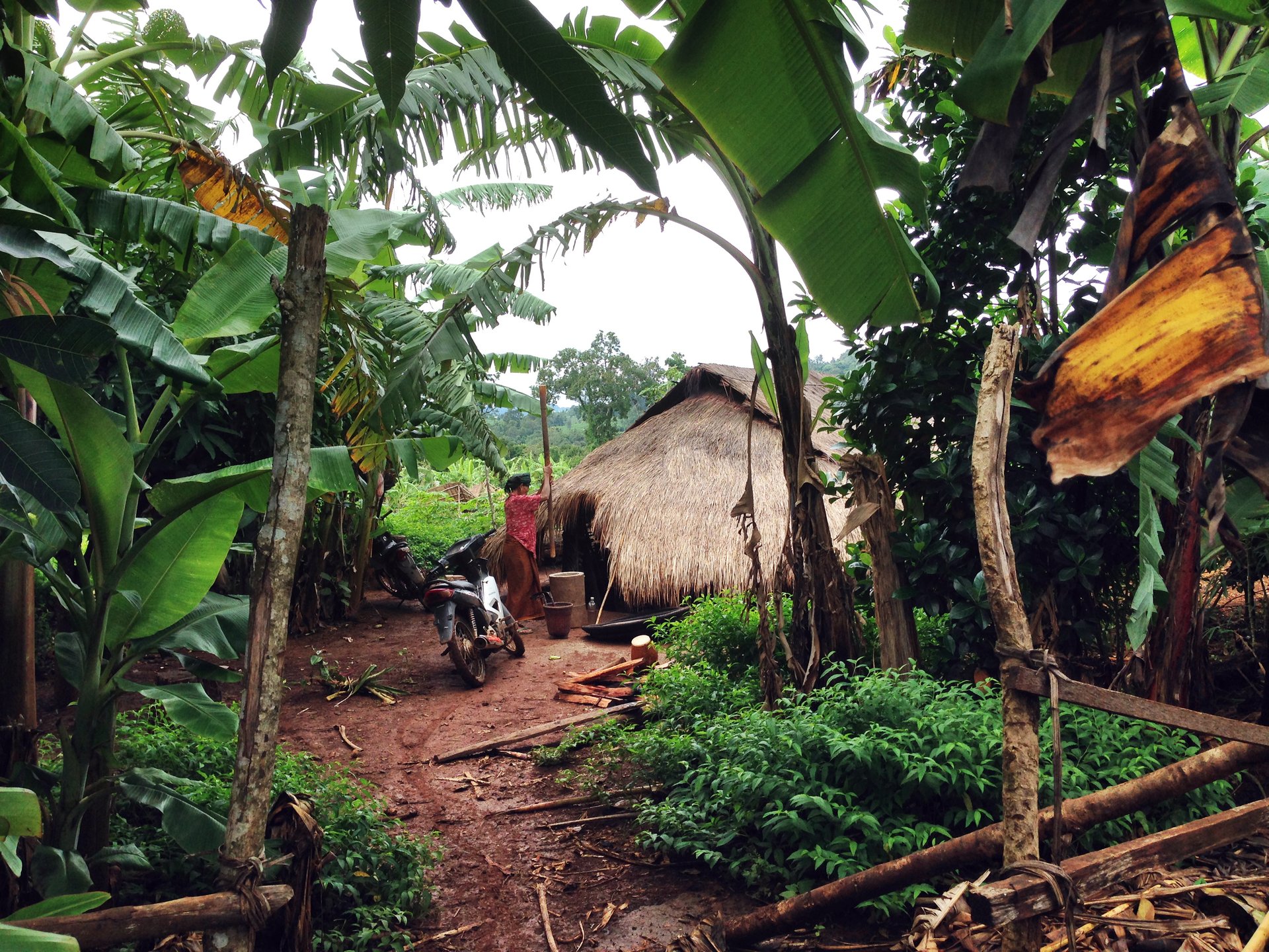 La province de Mondulkiri, Cambodge