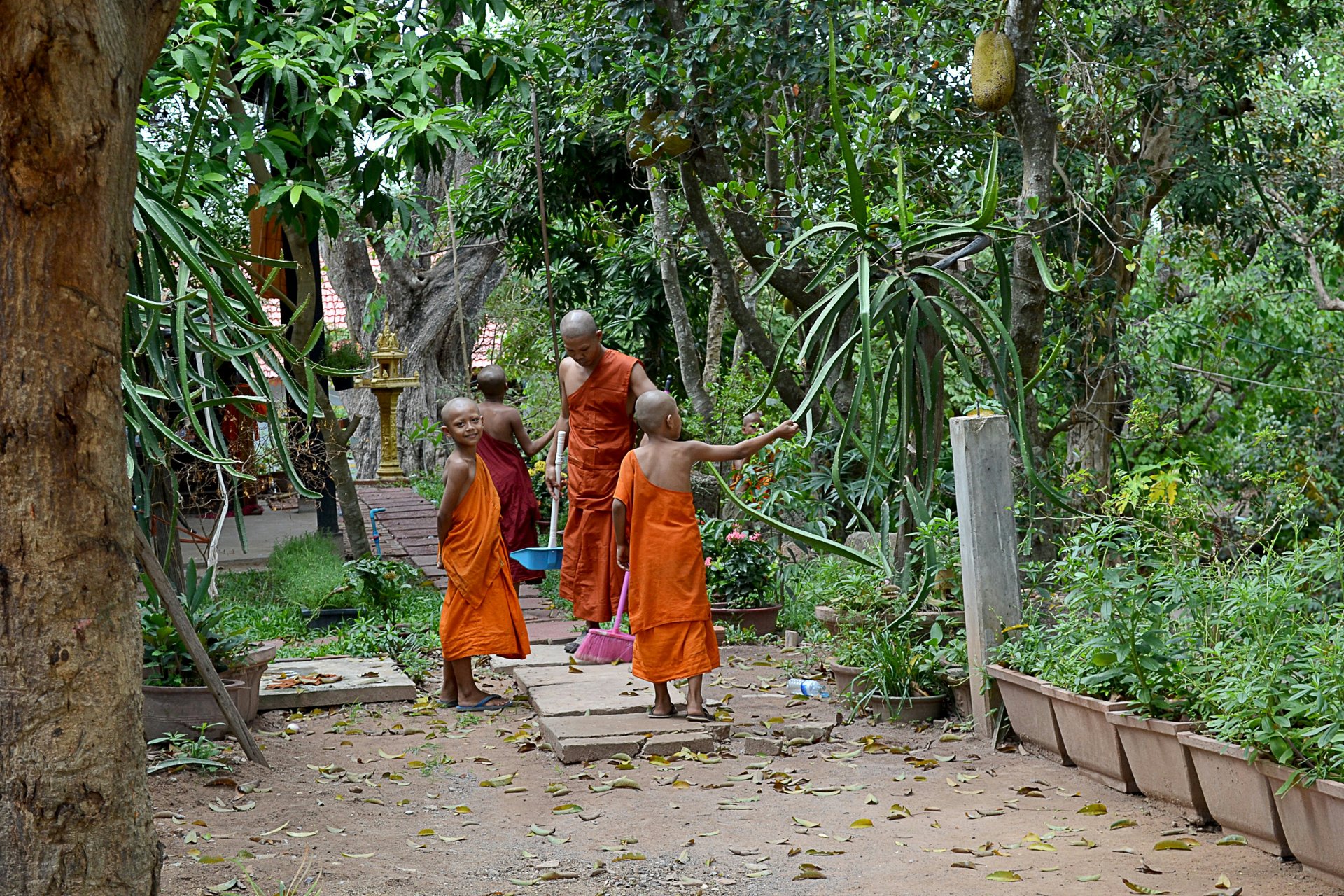 Un groupe de garçons cambodgiens en robe orange, Siem Reap, Cambodge