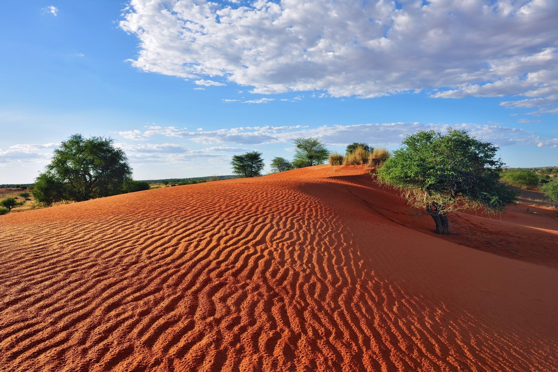 Découvrez Le Désert Du Kalahari Depuis La Namibie - TraceDirecte