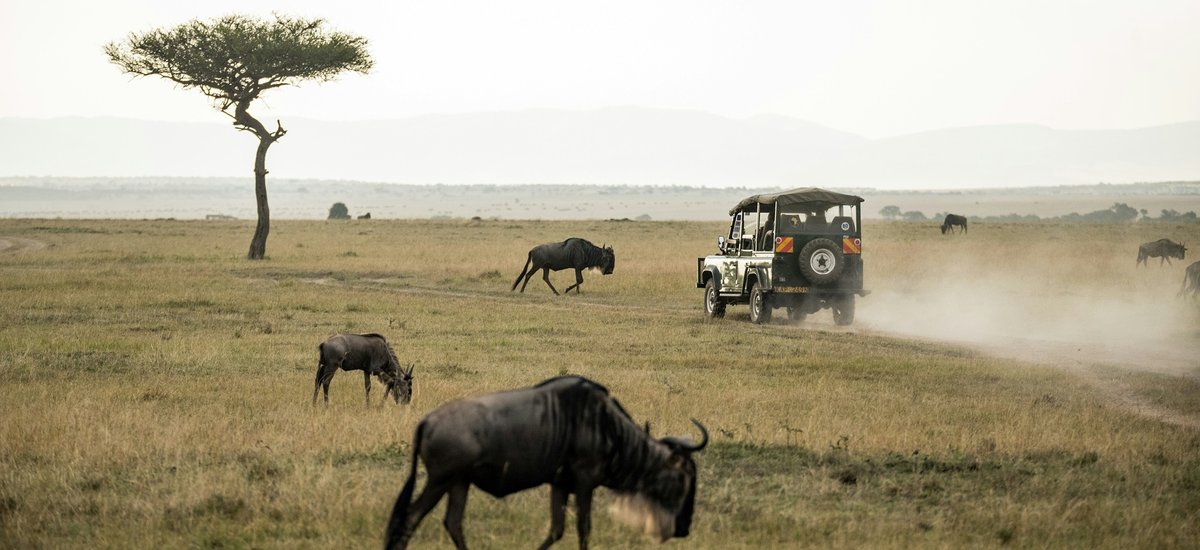 Safari Kenya, Masai Mara